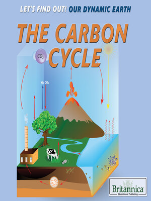 cover image of The Carbon Cycle